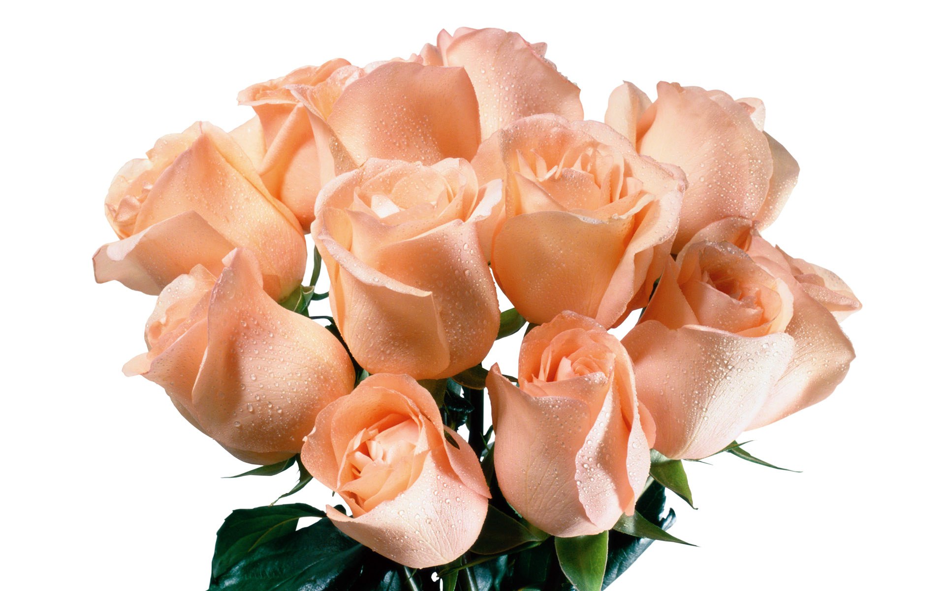 Леночка с букетом. Красивый букет цветов. Букет роз. Красивый букет роз.