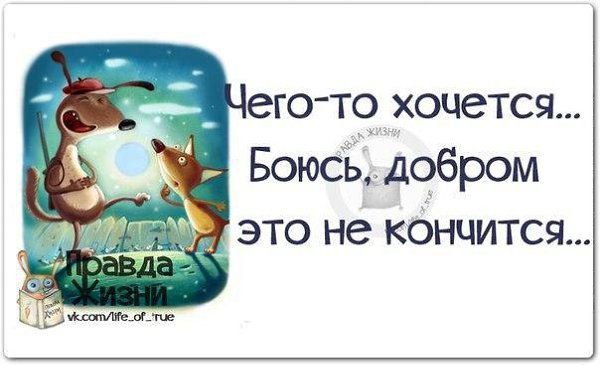 Правда жизни открытки, картинках