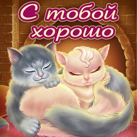 Открытка ты моя киса