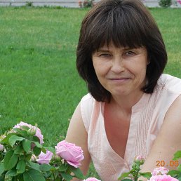 , 55 , 