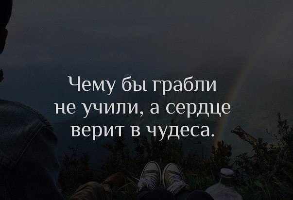 Чему бы грабли не учили а сердце верит в чудеса картинки