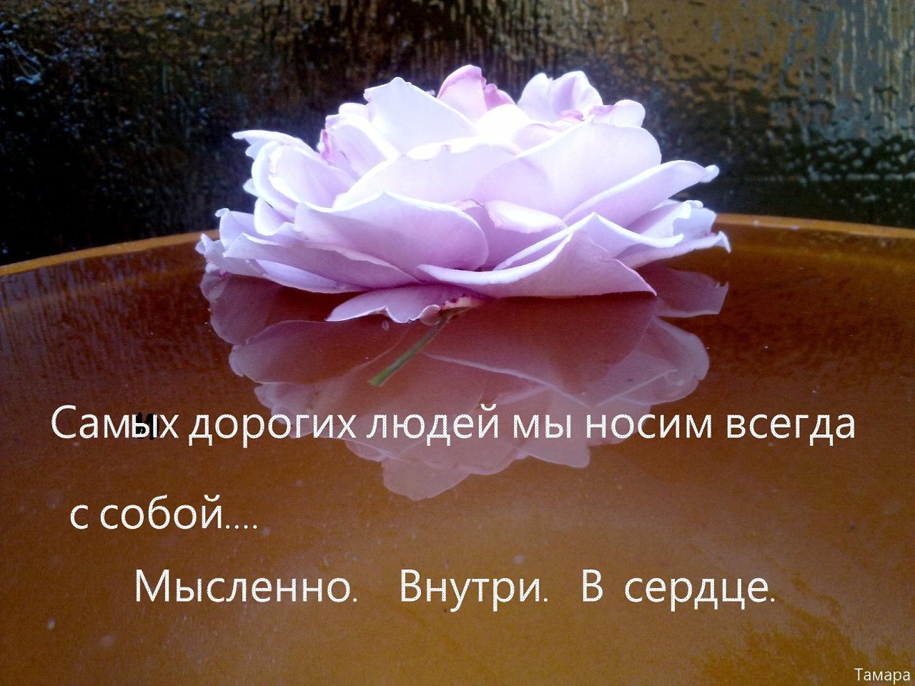 Самый дорогой человечек картинки
