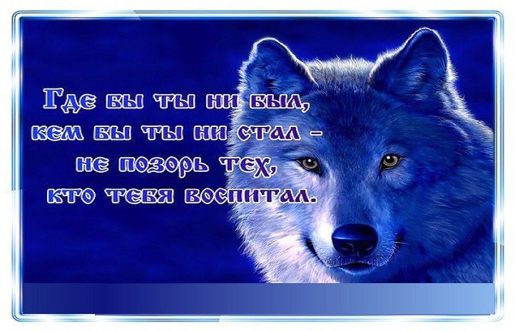 Прикольные картинки на статус в ватсапе, новому