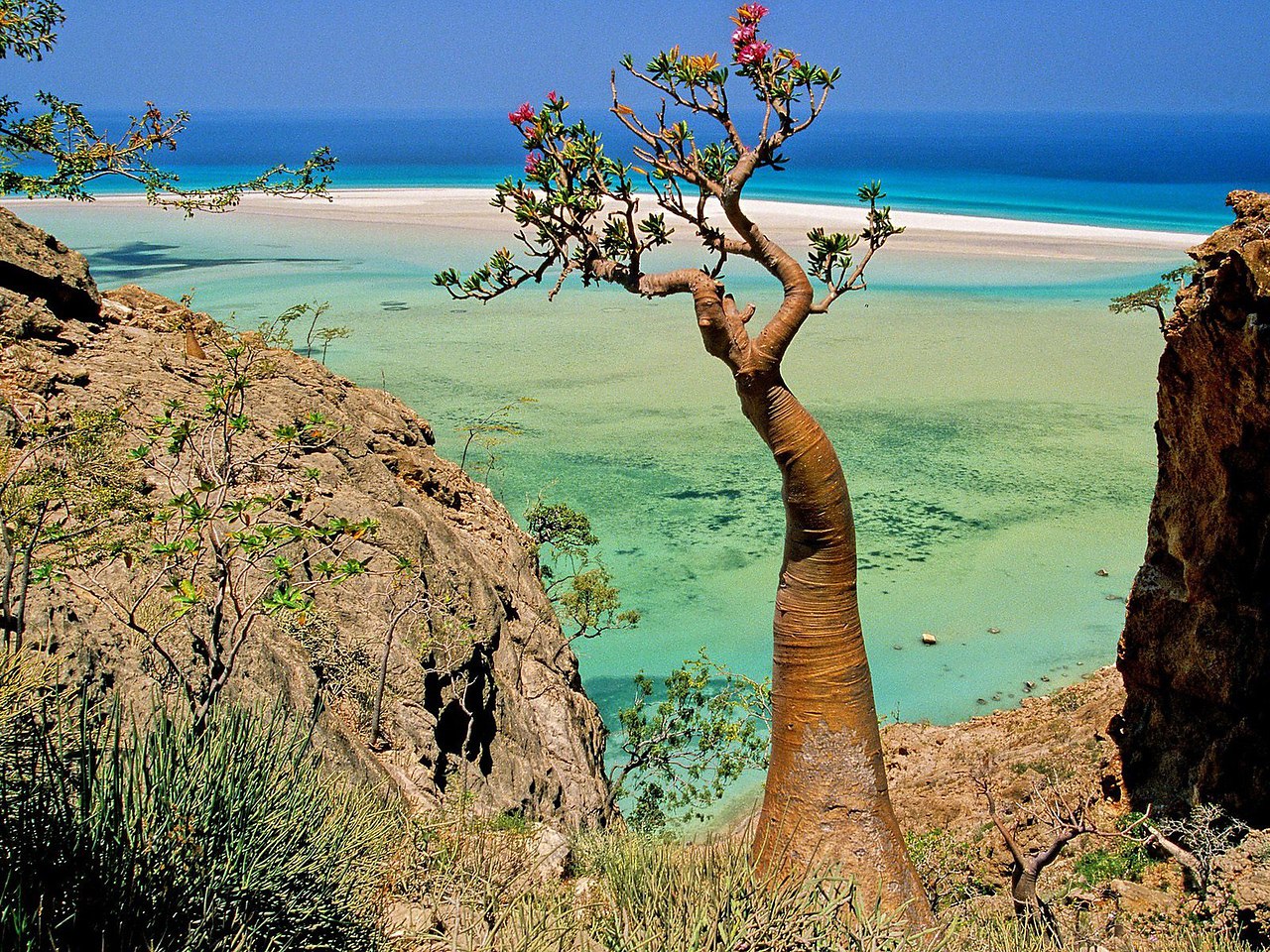 Остров Сокотра (Socotra), Йемен
