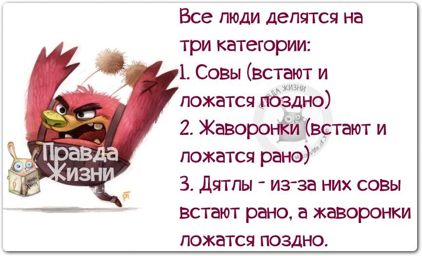 Правда жизни картинки с надписями прикольные новые