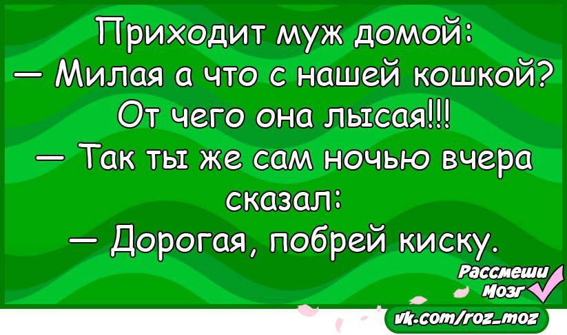 Мужа домой. Милая домой. Дорогой я побрила киску приколы. Анекдот она что лысая. Анекдот жена мужу она что лысая.