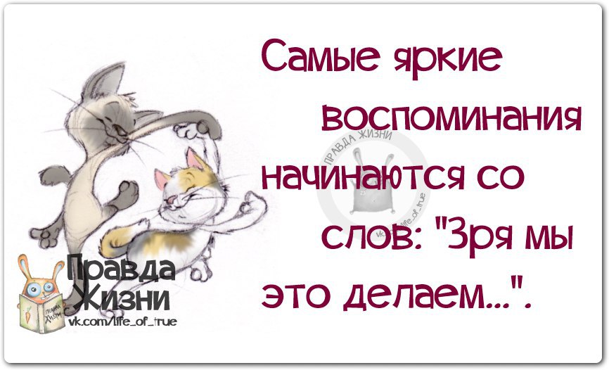 Интересное начинается. Открытки правда жизни. Рисунки правда жизни. Слова правды жизни. Открытки правда жизни с приколом.