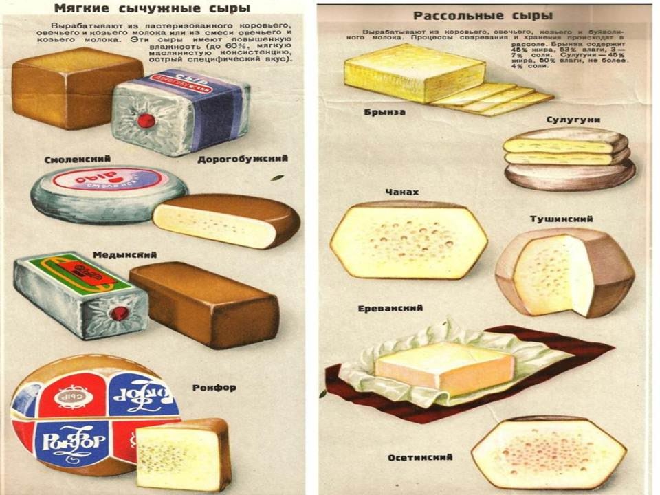 Как в советские времена называли. Сыр СССР. Сыры в СССР. Сыр в СССР сорта. Сыр Советский СССР.