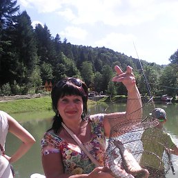 , 63 , 