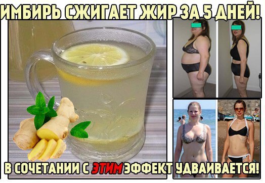 Правда Ли Что Можно Похудеть С Имбирем. Имбирь для похудения