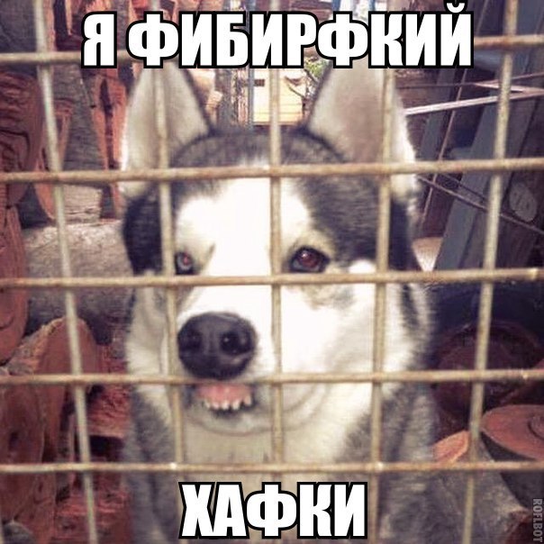 квартиры картинка с хаски ну и что ты мне сделаешь выбирают качестве