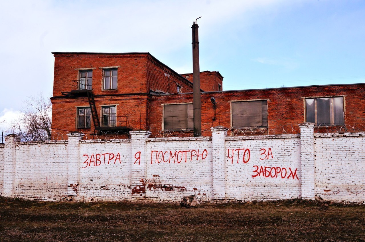 Завтра посмотрю. Надписи на заборе приколы. Надпись на заборе фото. Смешные надписи на заборе фото. Прикольная реклама заборов.