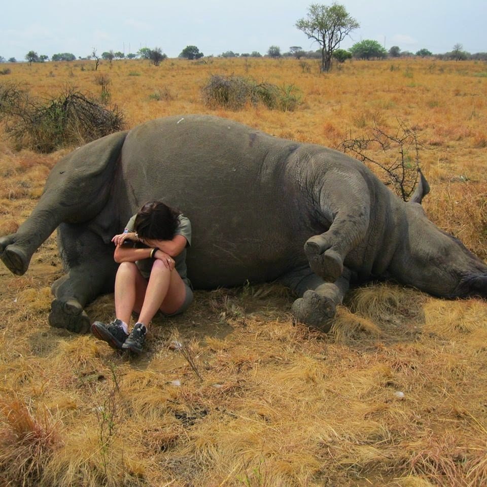 Браконьерство на Носорогов