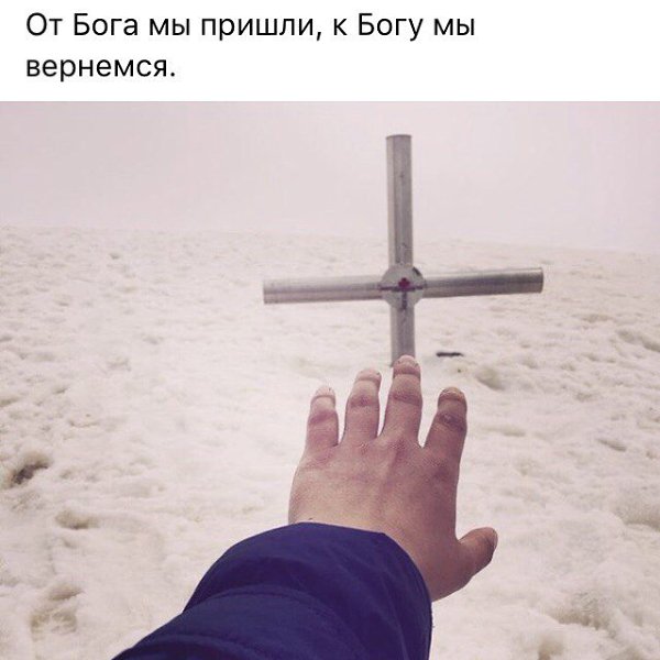 Картинки брат только держись