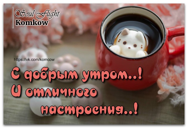 Картинки с позитивом с добрым утром