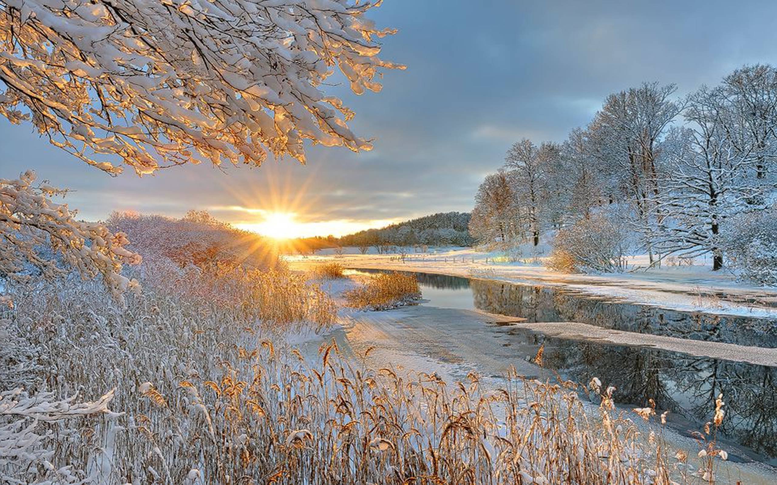 Теплая снежная зима. Зима солнце. Зимний пейзаж. Пейзаж зимой. Ранняя зима.