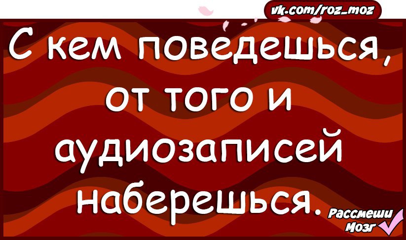 С кем поведешься. С кем поведёшься от того и наберёшься. Пословица с кем поведешься от того и наберешься. С кем поведёшься от того и наберёшься смысл. С кем поведешься юмор.