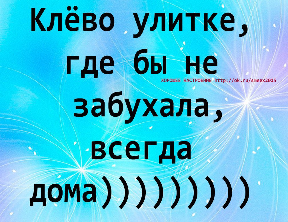 Хорошо быть улиткой где бы не забухала всегда дома картинки