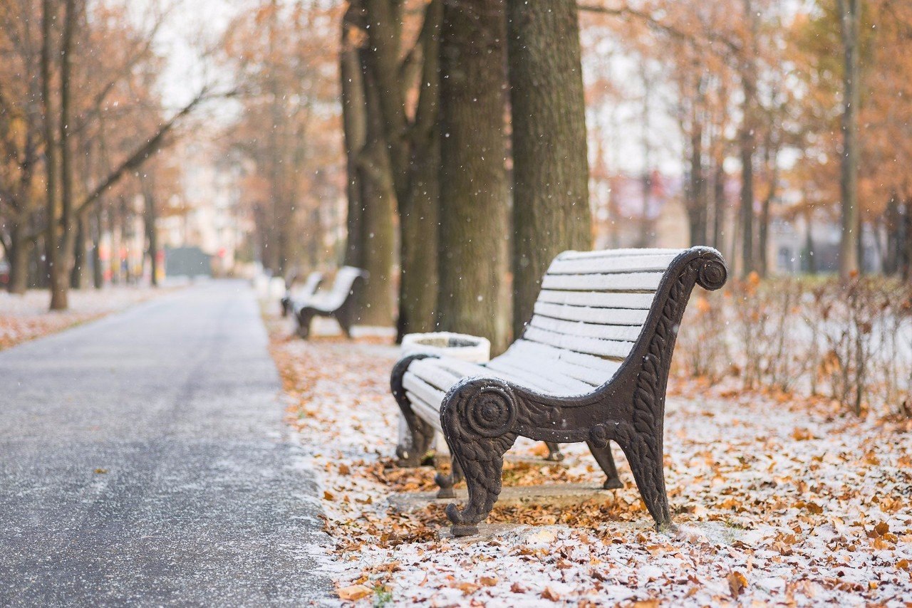 Скамейка в парке Петербурга