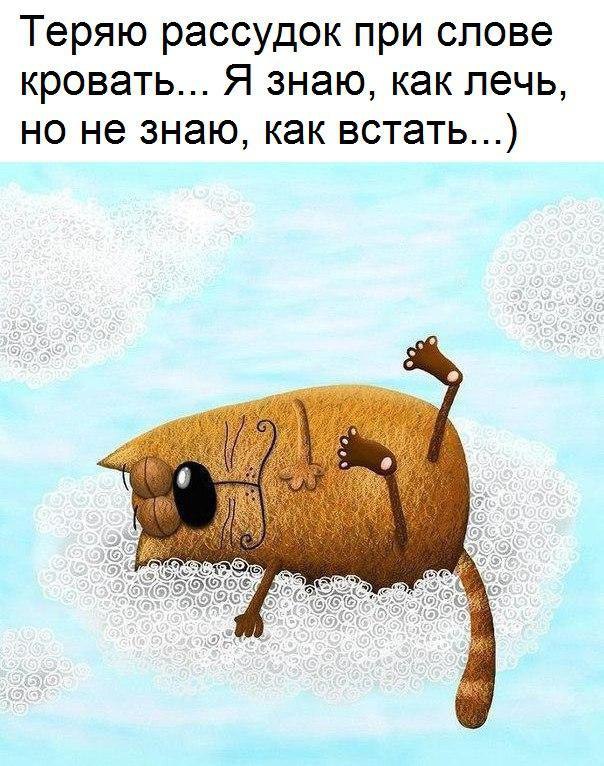 Шутливые картинки про утро