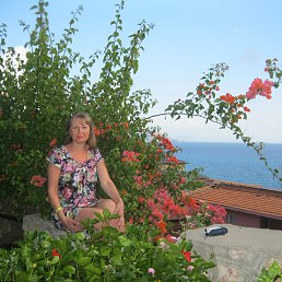 , 53 , 