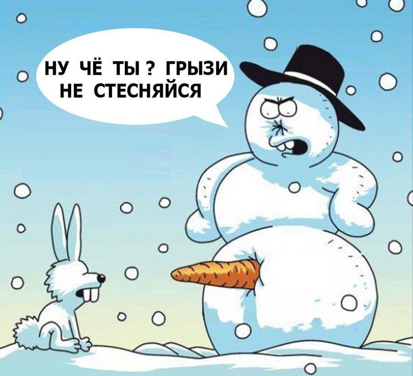 Юмор надпись в картинках, картинки животных