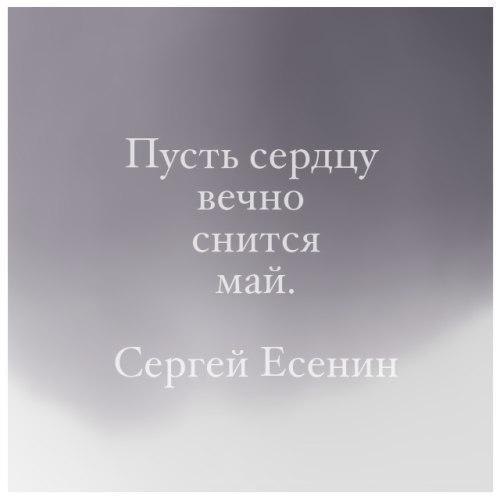 Вечный сердечный. Вечное сердце. Заболевания сердца и сосудов. Сердечно сосудистые болезни. Книжный магазин.