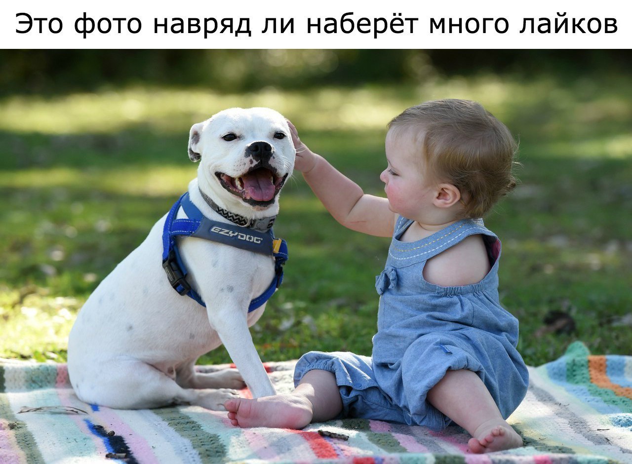 Фото Чтобы Было Много Лайков