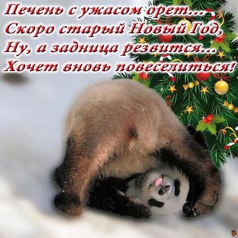 А Чего Грустить То Скоро Новый Год