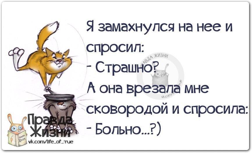 Остроумные ответы на все случаи жизни. Смешные цитаты с картинками правда жизни. Прикольные фразочки на все случаи жизни. Прикольные фразы на все случаи жизни. Смешные фразы на все случаи жизни.