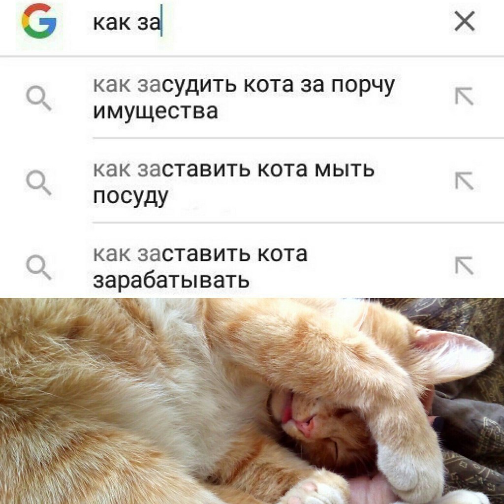 Любят Ли Мужчины Делать Куни