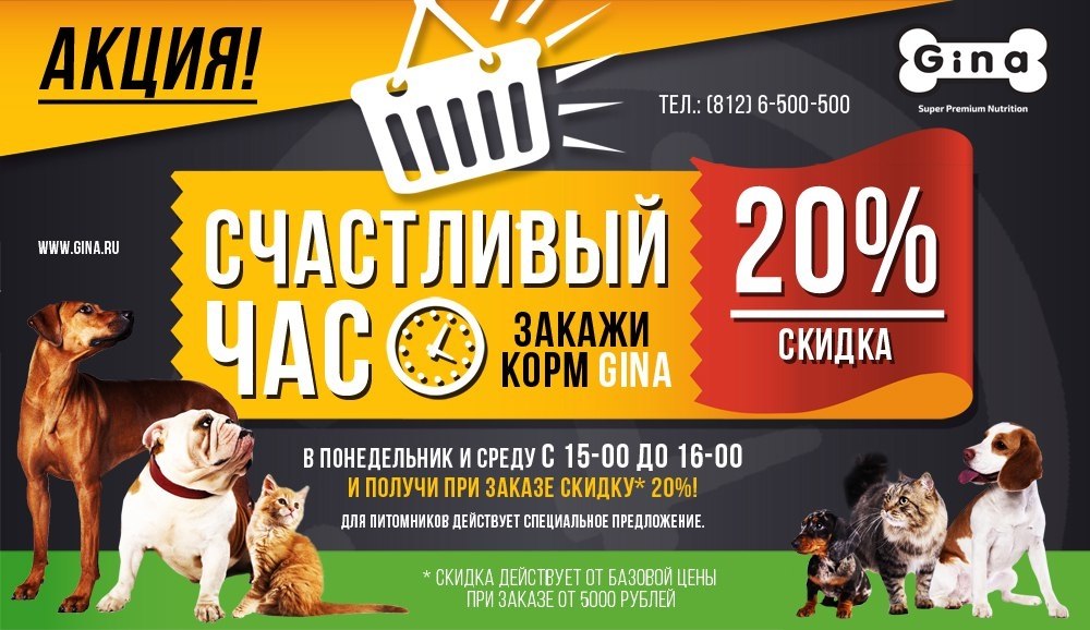 Интернет Магазин Корма По Акции