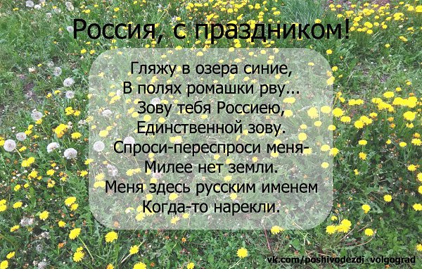 Озера синие песня. Стихи озера синие. Гляжу в озера синие в полях. Песня гляжу возёра синее. Гляжу в озера синие в полях ромашки рву.