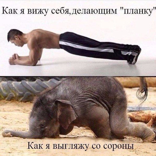 Картинка прикол про тренировку, днем