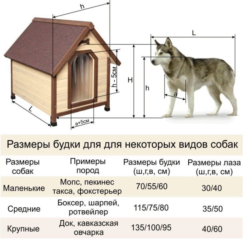 Размер Будки Для Немецкой Овчарки Фото