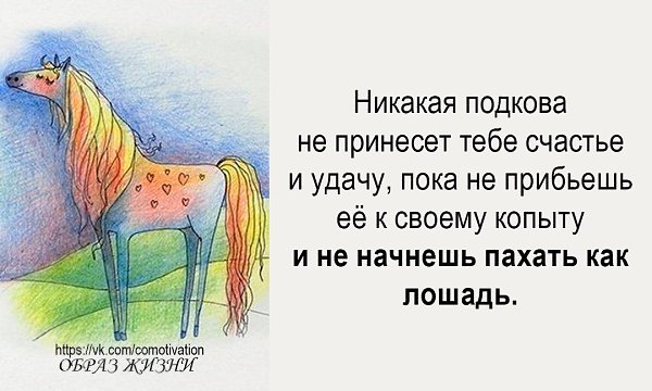 Никогда подкова не принесет тебе счастья и удачу пока картинки