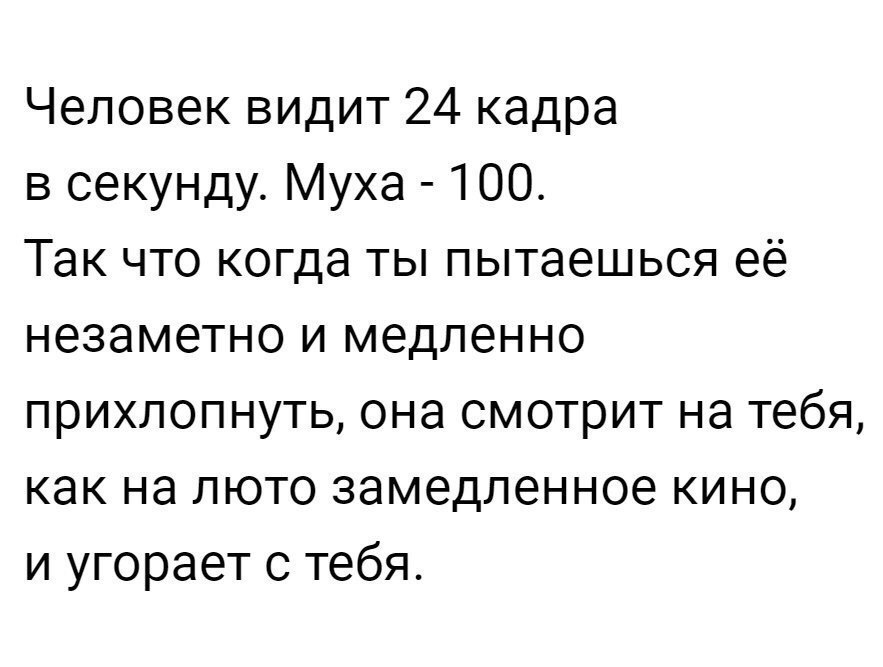 Сколько кадров в секунду. Сколько кадров в секунду видит человек. Сколько кадров в секунду видит человеческий глаз. Сколько человек воспринимает кадров в секунду. Количество кадров в секунду воспринимает человеческий глаз.