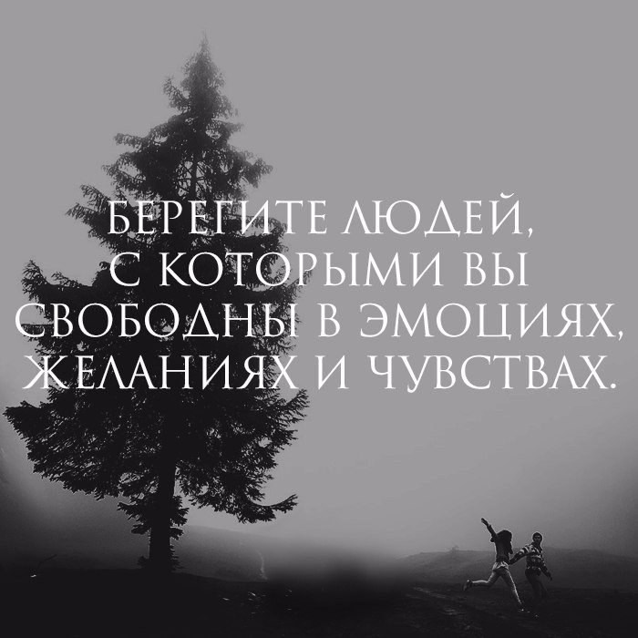 цитаты в картинках все свободны горка