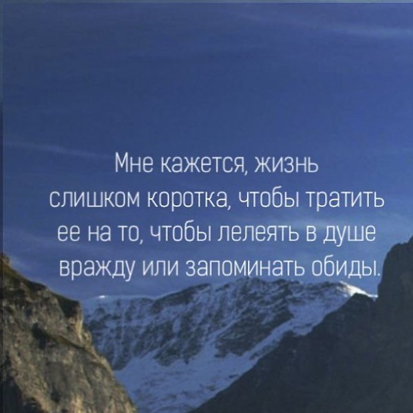 предмет картинка жизнь слишком коротка чтобы тратить ее на обиды ним