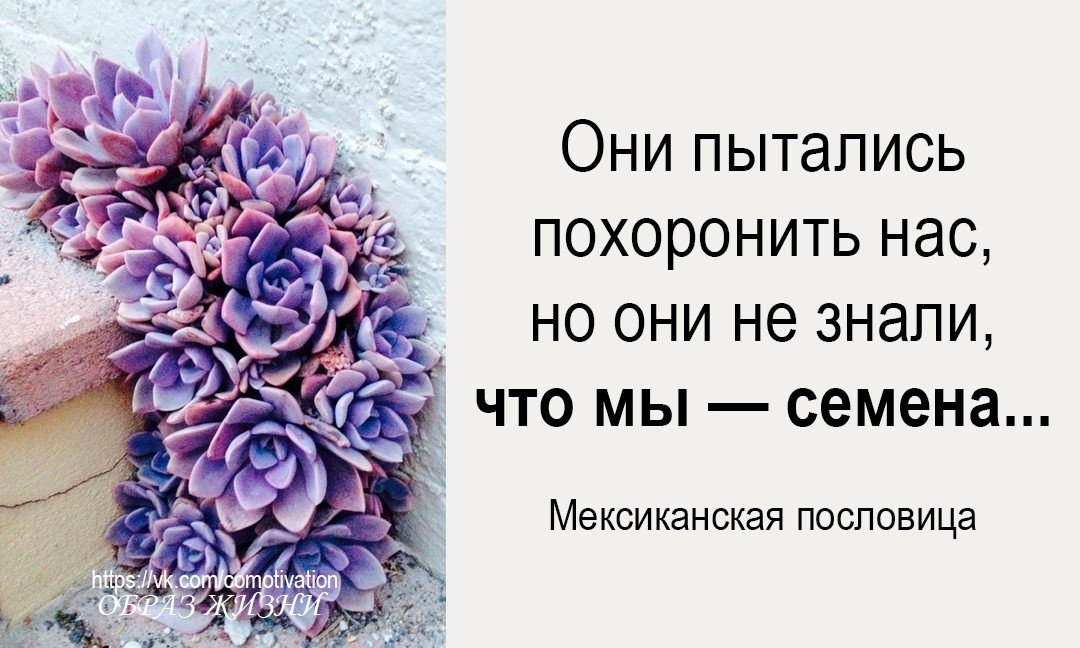 Их было много они пытались. Но они не знали что мы семена. Они хотели нас похоронить но не знали что мы семена. Они пытались похоронить нас но они. Они думали что мы семена.