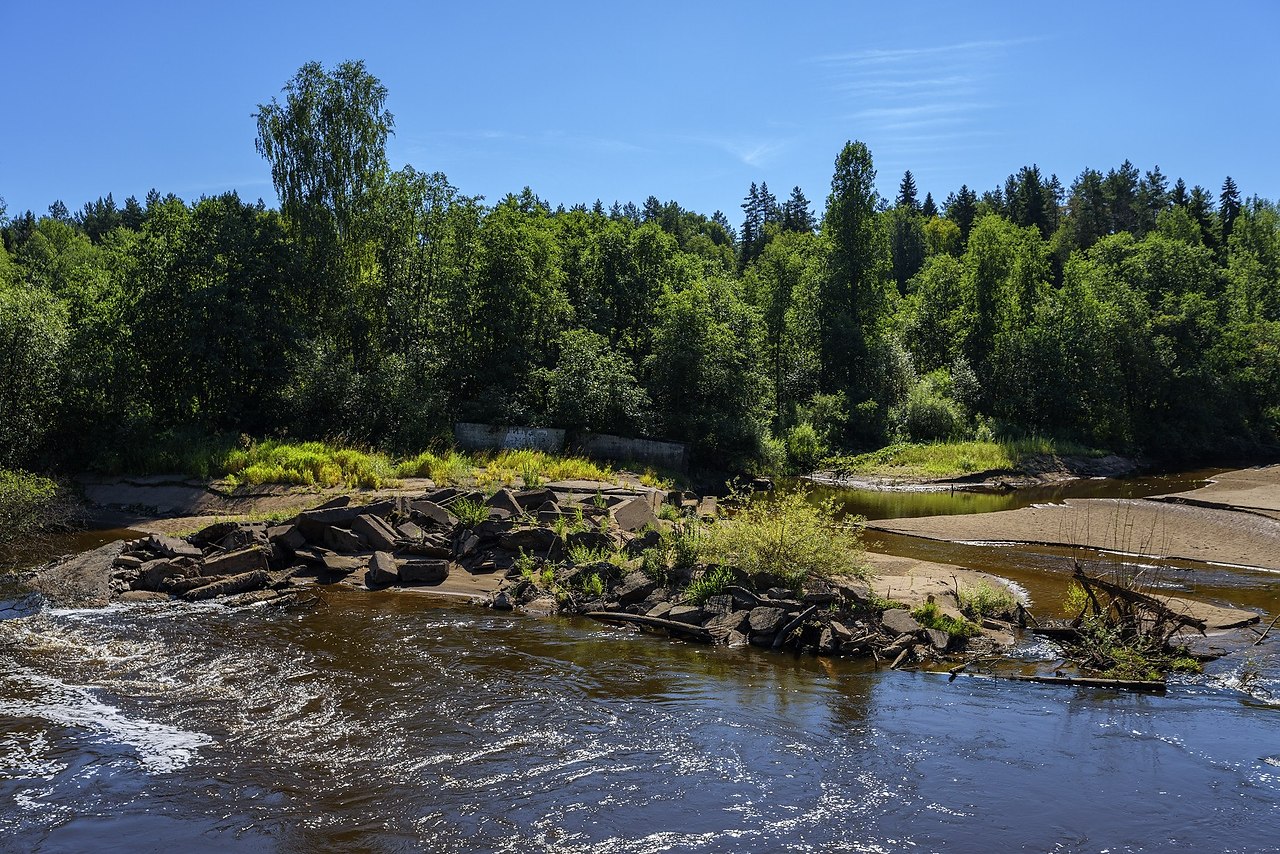 Каркино кирово чепецк фото