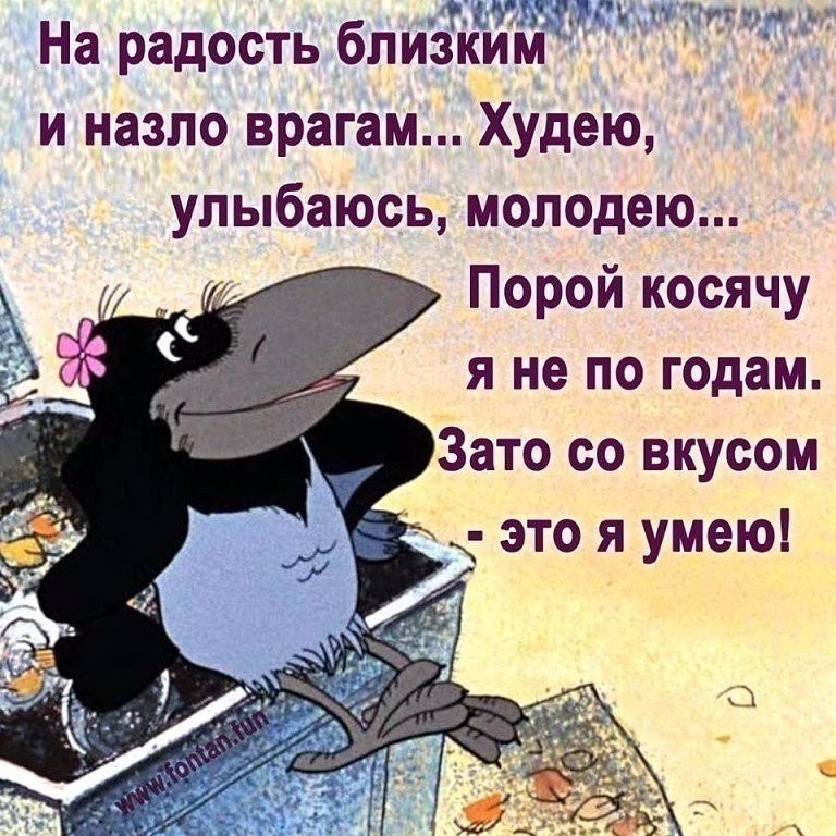 Приколы каждый день