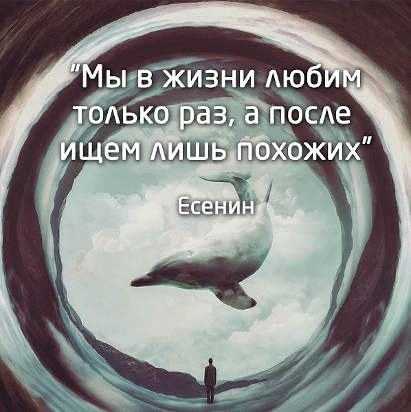Картинки с надписями мы любим только раз