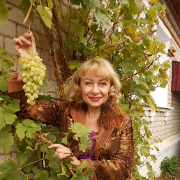 Фото Лана, Иваново, 59 лет Лана, Иваново, 59 лет