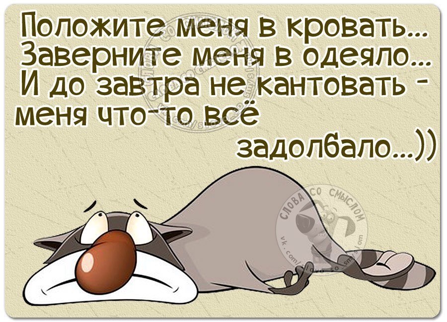 Смешные картинки про усталость на работе с надписями прикольные