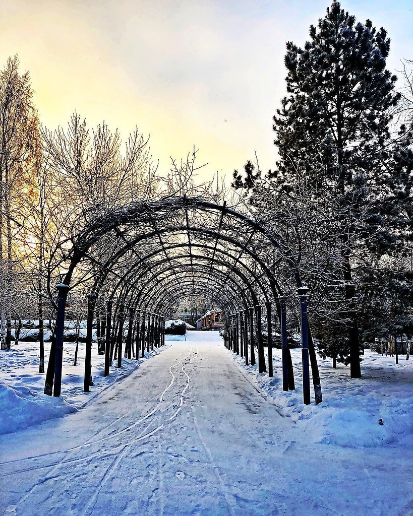 Фото парков новосибирска. Новосибирск парк. Центральный парк Новосибирск арка. Парк на Красном проспекте Новосибирск. Новосибирск зимой Заельцовский район.