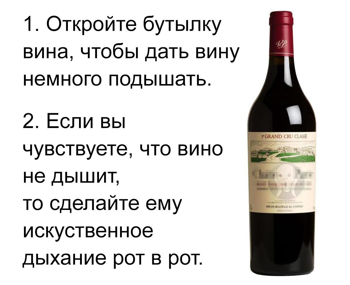 Что будет если выпить вино. Приколы про вино. Смешное вино. Шутки про вино. Смешные фразы про вино.