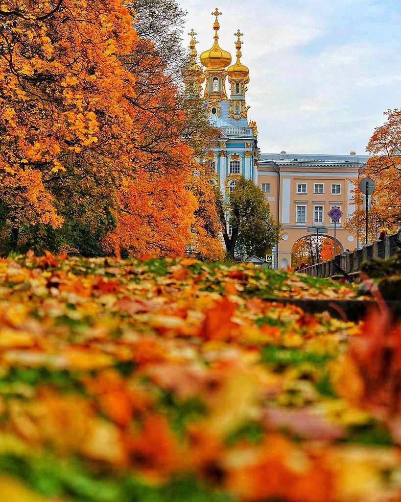 Осенний Питер Фото Красивые