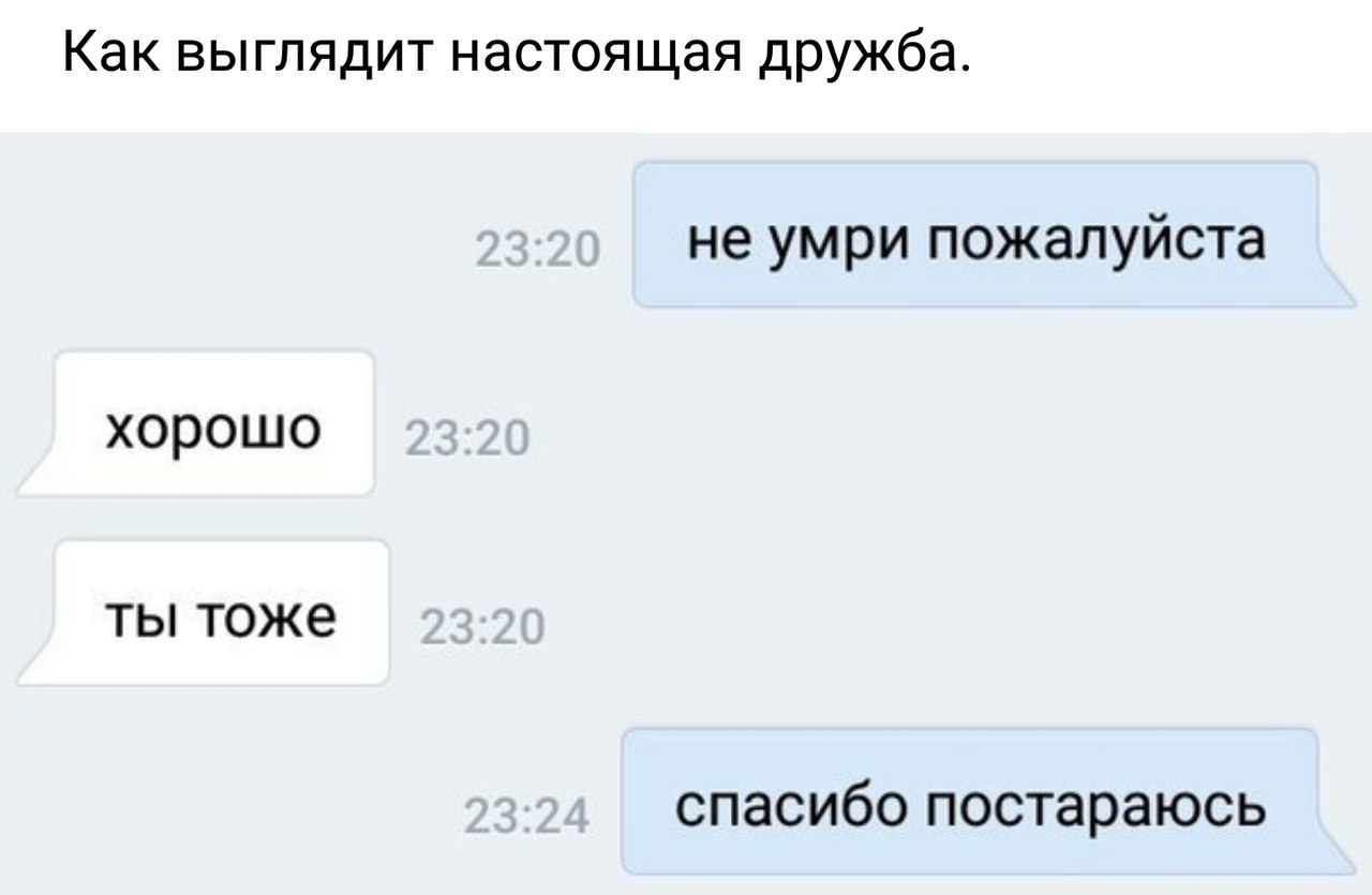 Тоже хорошо. Планы на следующий год. Планы на 2019 год прикол. Планы на год - не подохнуть. Планы на будущее в переписке.