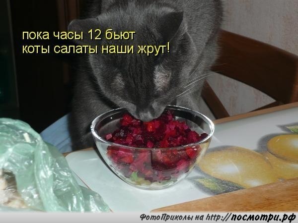 Парню, прикольные картинки винегрет